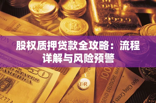 北京股权质押贷款全攻略：流程详解与风险预警